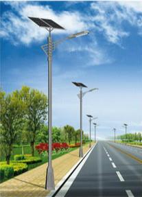 1742827545426759.jpg 金塔太阳能路灯.jpg