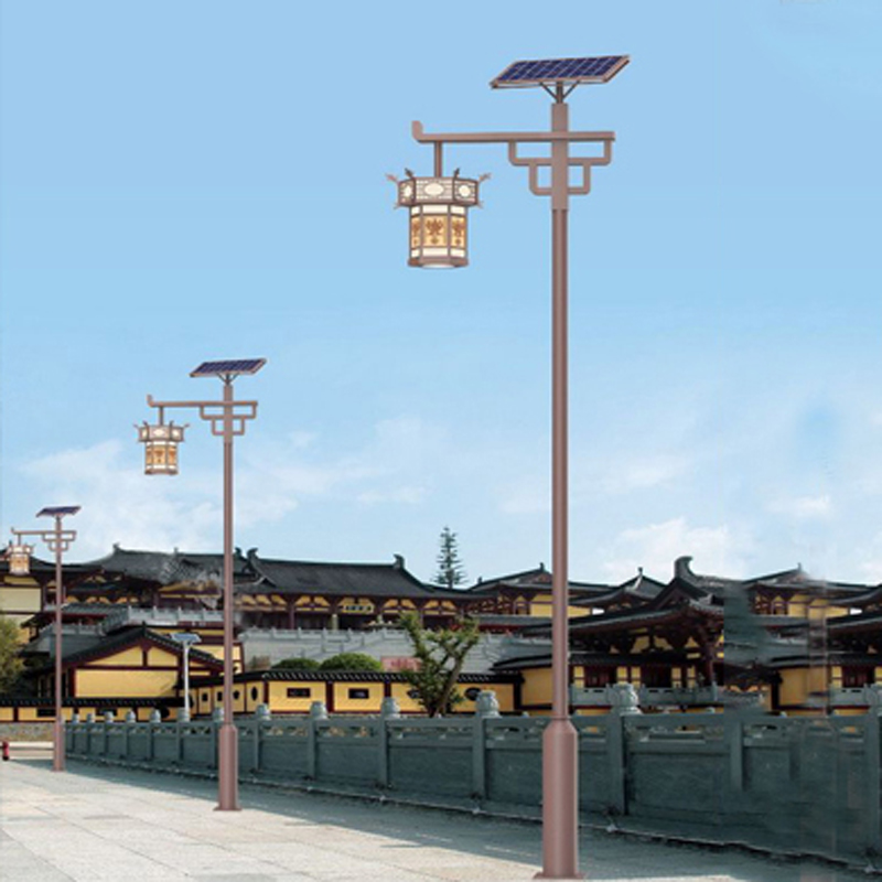 1742827625288656.jpg 金塔太阳能路灯.jpg