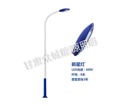 金塔爆款市电路灯 金塔爆款市电路灯